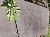 image of grave number 290375